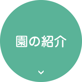 園の紹介