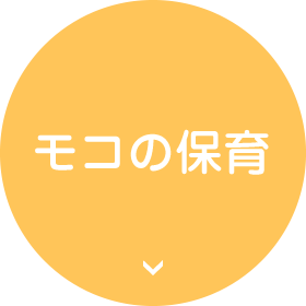 モコの保育